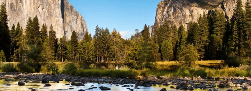 Au départ de San Jose : visite d'une journée jounée du parc national de Yosemite