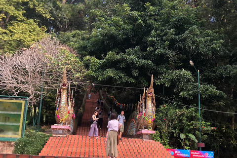 Chiang Mai Sunset Point,Wat Pha Lat,Wat Doi Suthep,Wat Umong