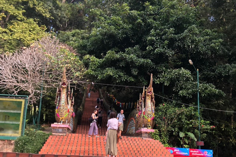 Chiang Mai Sunset Point,Wat Pha Lat,Wat Doi Suthep,Wat Umong