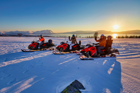 Från Tromsö: Lyngen Alperna Guidad tur med snöskoter