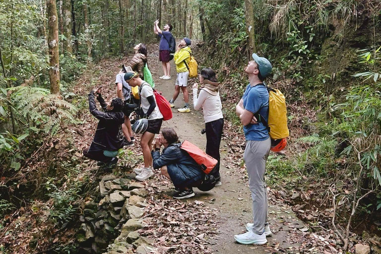 Hue: Bach Ma National Park Bird Watching Tour Bach Ma Bird Watching Tour for 2 Persons