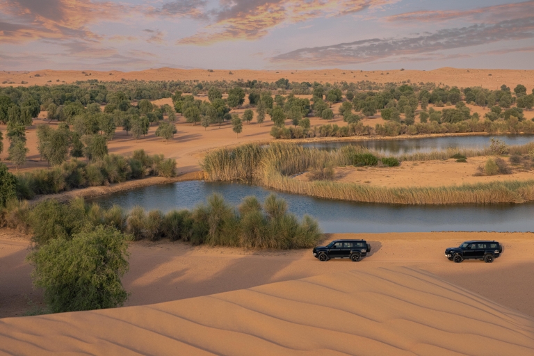 Dubái: tour por la reserva de conservación del desierto con desayunoTour privado