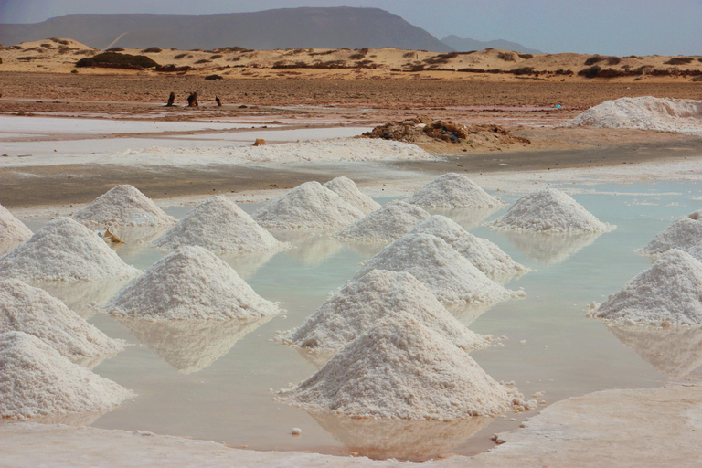 Sal Island: Small-Group Tour with Shark Bay & Blue Eye