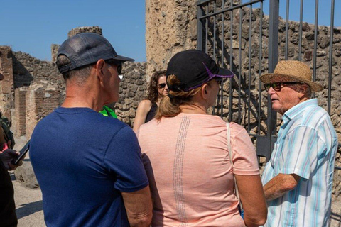 Pompeii en Sorrento Privé met gids en transfer