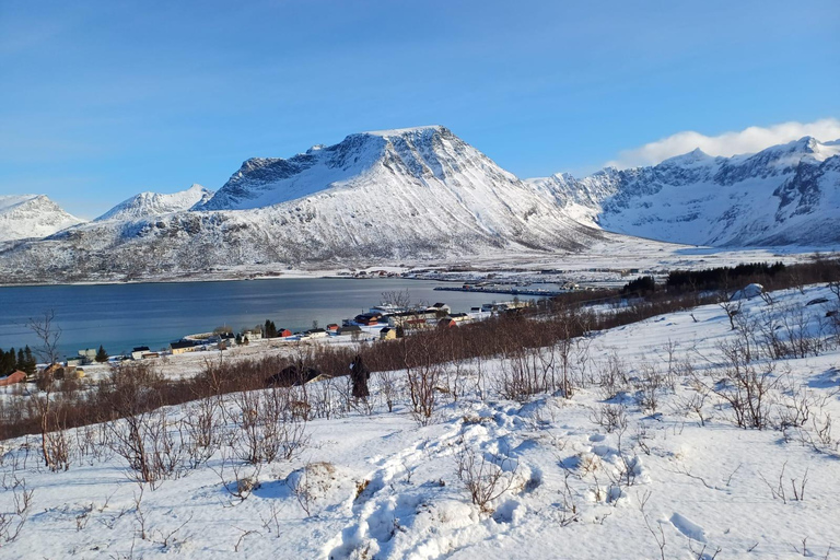 Grøtfjord, Tromsø. Unique Artic scenic route. From Tromsø: Guided Nature Tour & Local Eats Stop and Shop