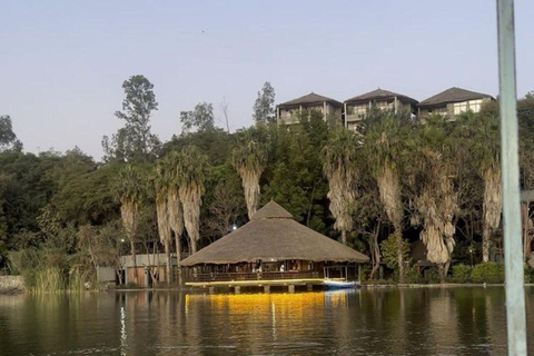 Debre Zeyit in Your Ear Crater Lakes with a Live Local Guide
