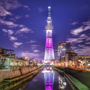From Nagano: Tokyo Private Journey with Guide & Vehicle From Nagano: Tokyo Private Journey with Guide & Vehicle