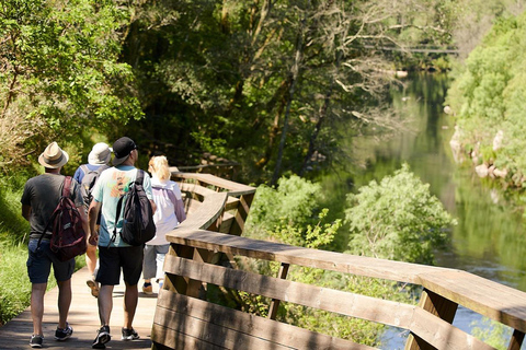 From Porto: Arouca 516 and Paiva Walkways Guided Day Trip