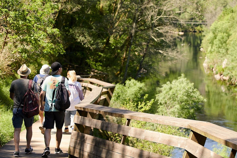 From Porto: Arouca 516 and Paiva Walkways Guided Day Trip