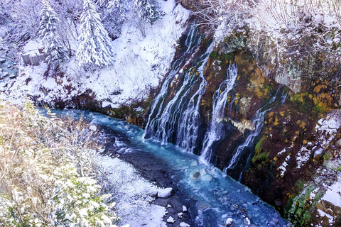 Asahiyama Adventure: Zoo+Waterfalls & Blue Pond Day Tour Meet at Exit 31 of Odori Park Subway Station