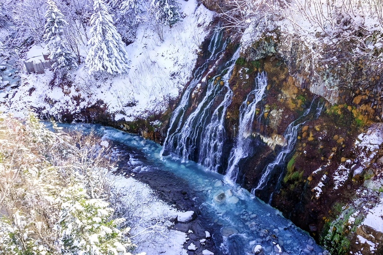 Asahiyama Adventure: Zoo+Waterfalls & Blue Pond Day Tour Meet at Exit 31 of Odori Park Subway Station