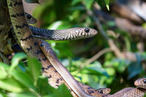 Chiang Mai: 3-Day Karen Hill Tribe Immersion with Trekking