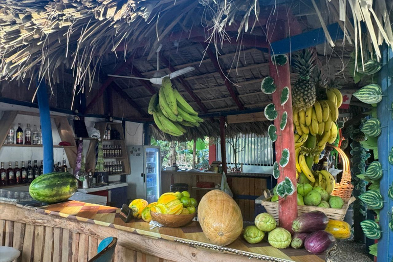 Puerto Plata: El Gallo Ecolodge Day Pass with Lunch