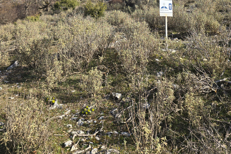 Hike Mount Shpirag and Enjoy Stunning Berat Views