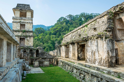 Chiapas: Palenque Archaeological Site Skip-the-Line Ticket