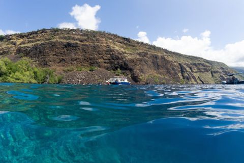 Big Island: tour di snorkeling alla barriera corallina Captain Cook