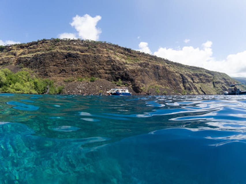 Big Island Captain Cook Reef Snorkel Tour GetYourGuide