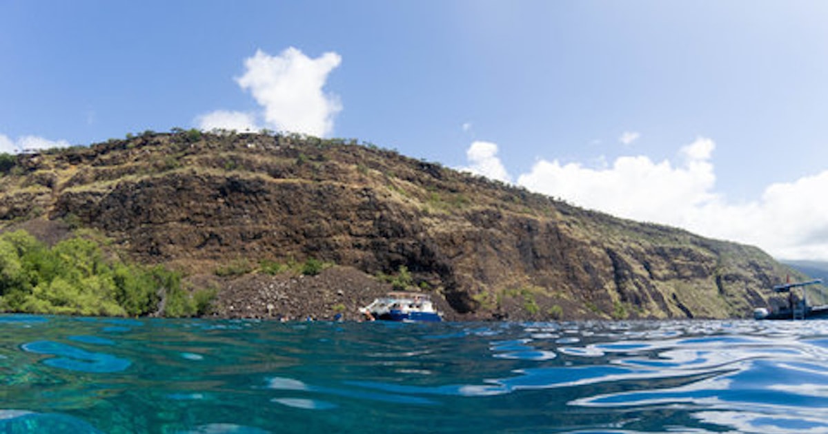 Big Island Captain Cook Reef Snorkel Tour GetYourGuide