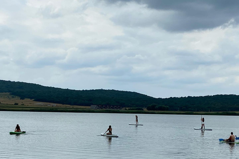 Tbilisi: Bazaleti Lake Stand-Up Paddleboarding Tour
