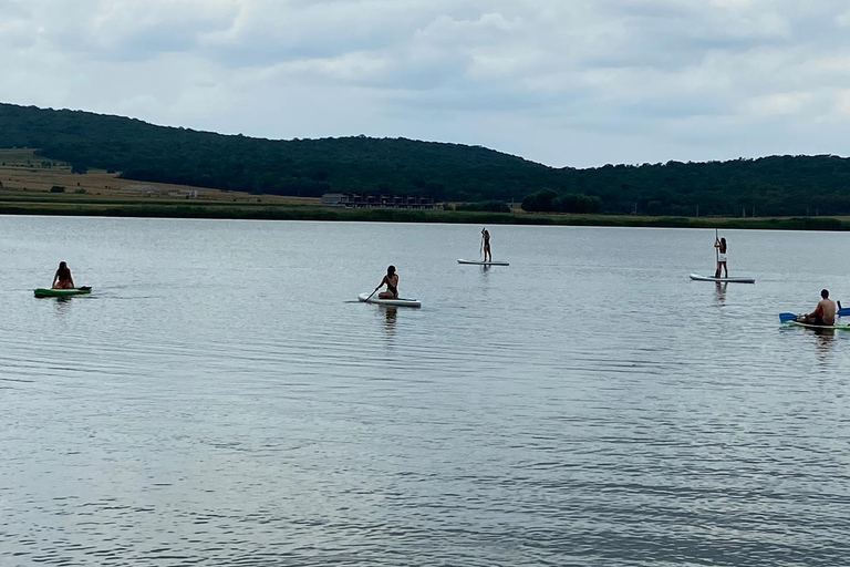 Tbilisi: Bazaleti Lake Stand-Up Paddleboarding Tour
