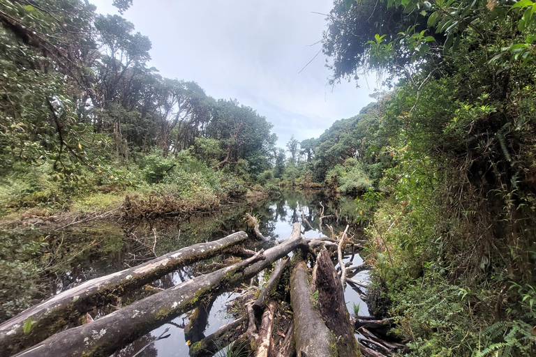 Recorrido y caminata al Volcán Barva Heredia