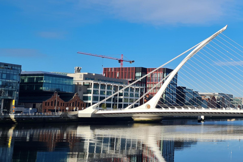 Dublin : Private Sightseeing Tour of Dublin City