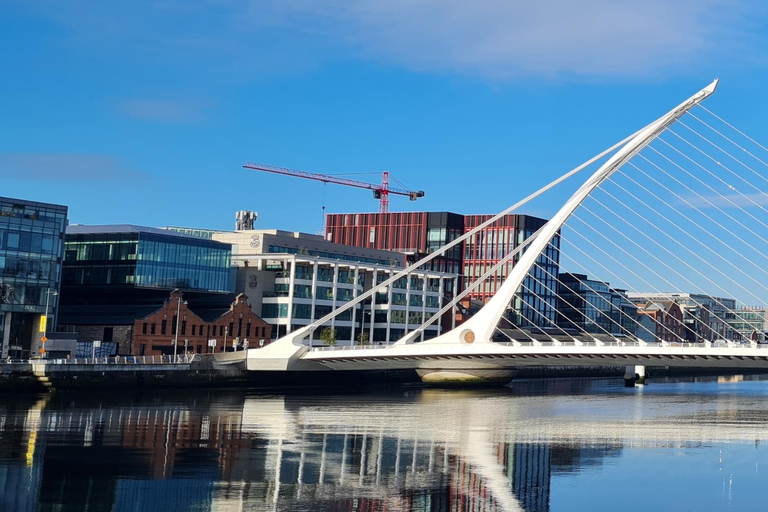 Dublin : Private Sightseeing Tour of Dublin City