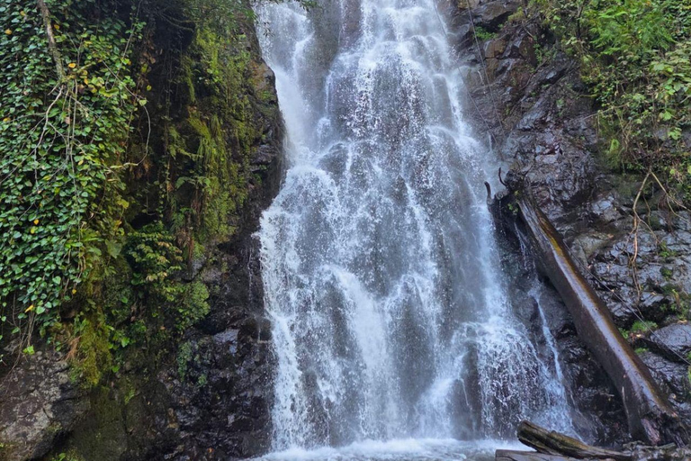 The Trail of the Machakhela Gun- Machakhela valley tour