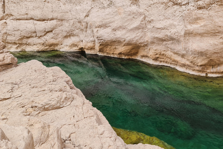 From Muscat: Wadi Al Arbieen Adventure, Sinkhole, Fins Beach