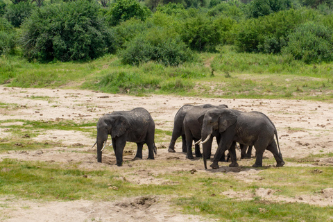 Tarangire Day Safari: Private 4x4 Suzuki Vitara Experience