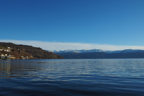 Tour guidato al fiordo di Hardanger, alle cascate e all&#039;attraversamento in traghetto