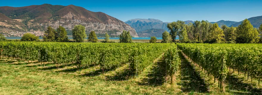 Au départ de Milan : Journée complète en Franciacorta. 2 vignobles et déjeuner