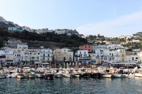 Sorrente : Capri, Grotte Bleue et Jardins d'Auguste - Excursion d'une journée