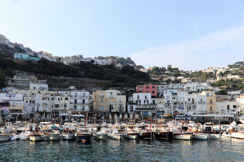 Sorrento: Capri, Blaue Grotte und Augustus Gärten Tagestour