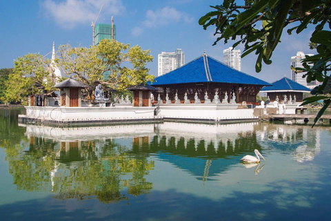 Colombo: City Highlights, Temples, Lotus Tower & Port City