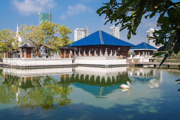 Colombo: City Highlights, Temples, Lotus Tower & Port City
