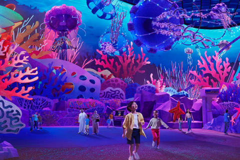 Dubai: Sheikh Zayed-moskee &amp; SeaWorld-toegang met transferDubai: Sheikh Zayed-moskee en SeaWorld, inclusief vervoer