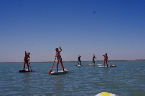 Djerba: Stand Up PaddleDjerba: Stand Up Paddle Board-ervaring