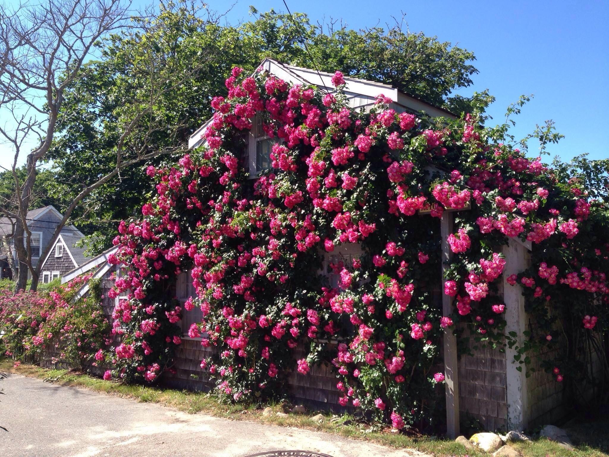 Nantucket: Historische Wahrzeichen Sightseeing Bus Tour