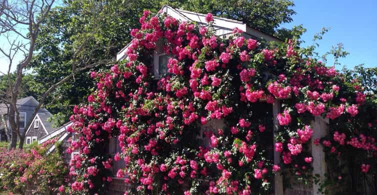 Nantucket: Historical Landmarks Sightseeing Bus Tour