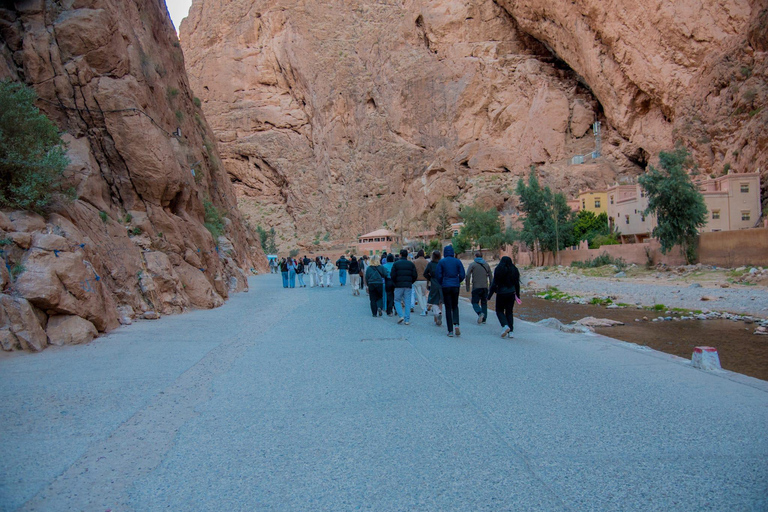 3-Day Sahara Tour Marrakech to Agadir + Camel & Quad Standard Desert Camp (Recommended)