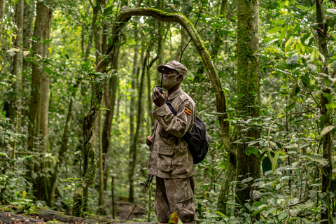 5-Day Uganda Safari: Chimpanzees & Gorillas on midrange