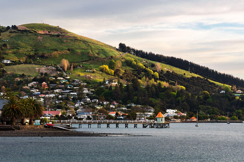From Christchurch: Akaroa Scenic Day Trip with Cruise Option