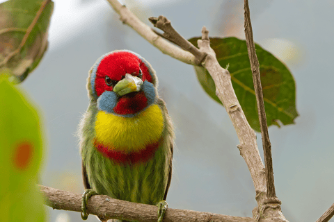 From Cusco: 3-Day Manu National Park Tour