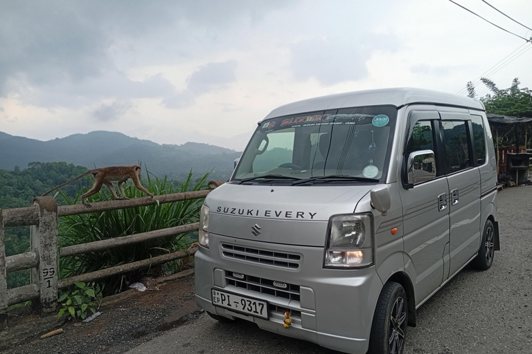 Kandy: Sigiriya or Pidurangala & Dambulla Day Tour by Van