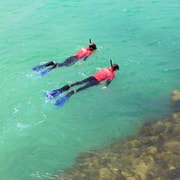 Adelaide: Fleurieu Snorkel & Beer Safari