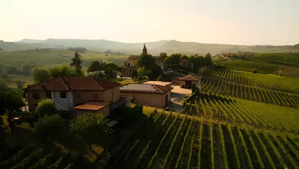 Tour und Weinverkostung in Langhe und Monferrato Tour und Weinverkostung in Langhe und Monferrato