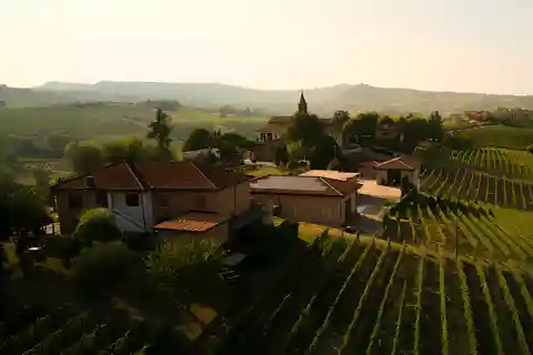 Tour and Wine Tasting between Langhe and Monferrato