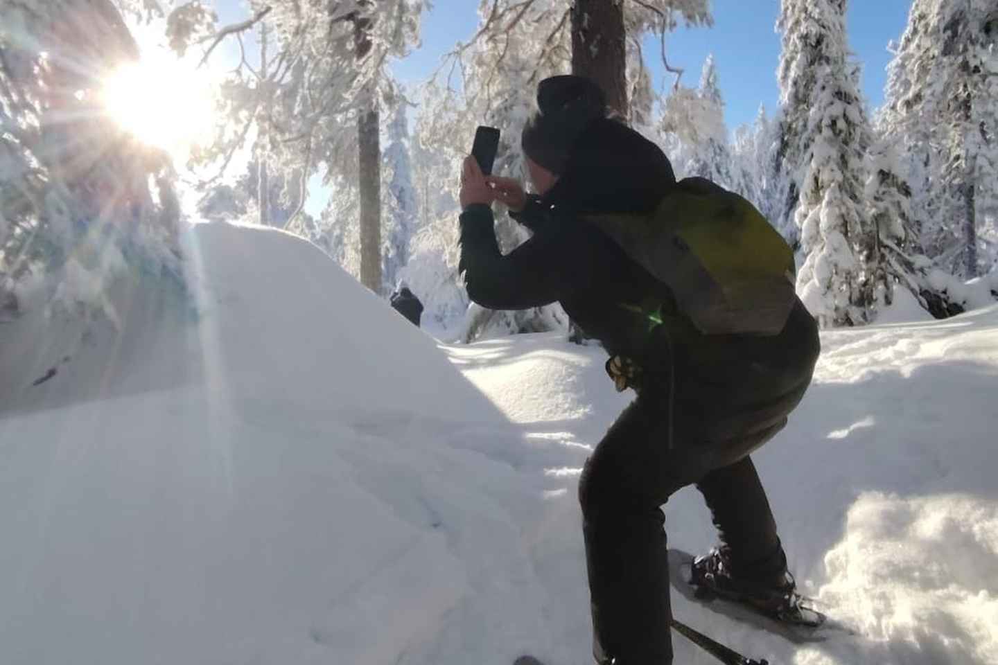 Vuokatti: Snowshoeing Adventure in the Forest