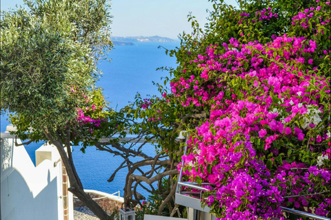 Santorini: Private Island Highlights Tour with Driver 3-Hours Private Tour